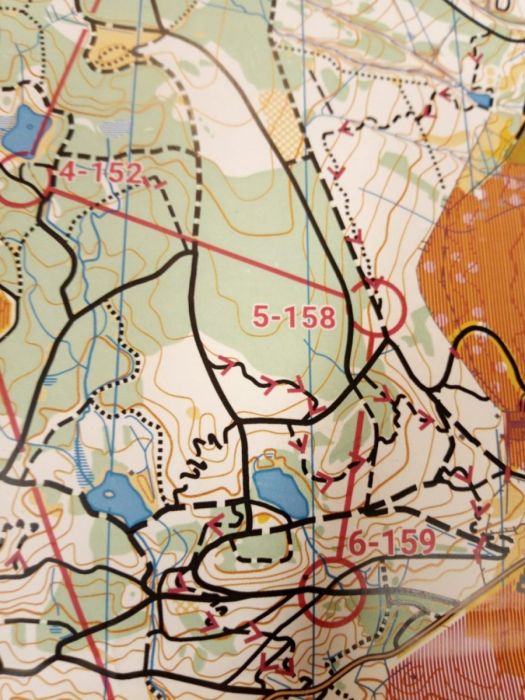 MTBO map extract Drumlanrig