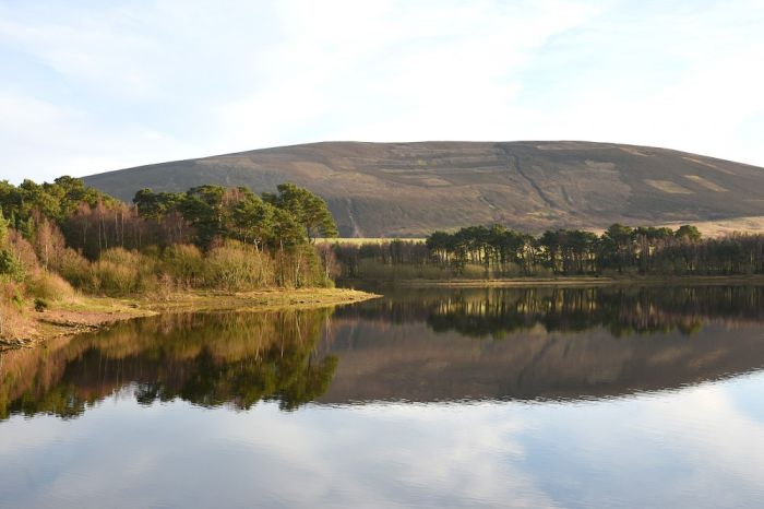 View SE towards Black Hill from Harlaw Dam