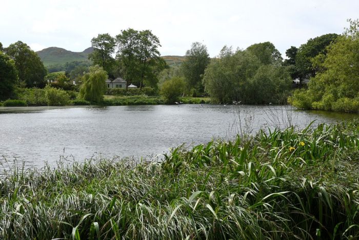 The pond at Figgate Park