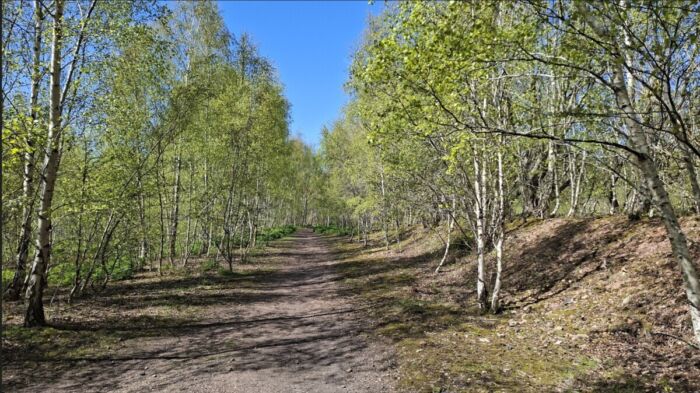 Bilston Glen Newer Woodland