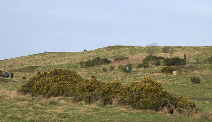 The top of Blackford Hill