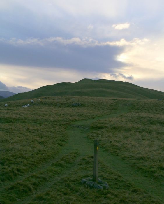 Cademuir Hill - view SW along the ridge
