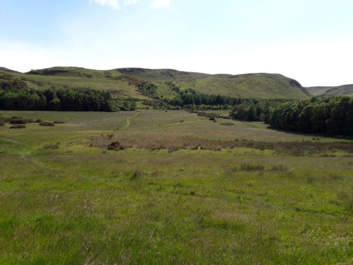 Dreghorn - view towards Allermuir Hill