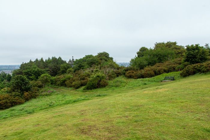 Open area near the top of Easter Craiglockhart Hill