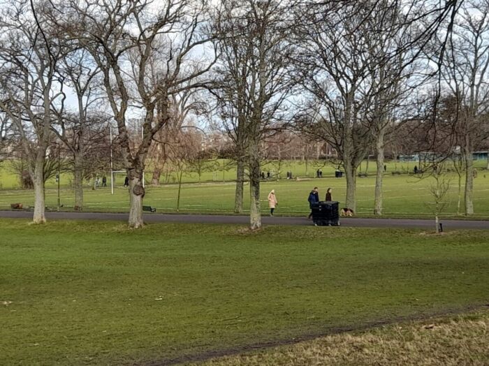 Inverleith Park, looking N