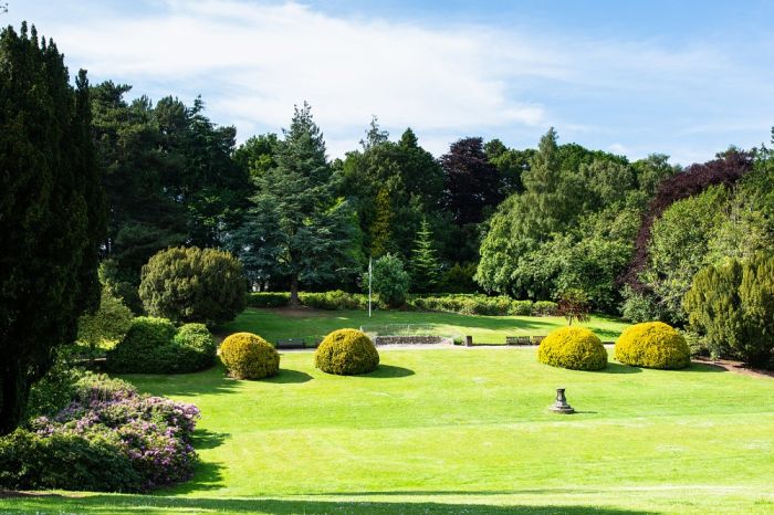 Riccarton Campus - The Lawn
