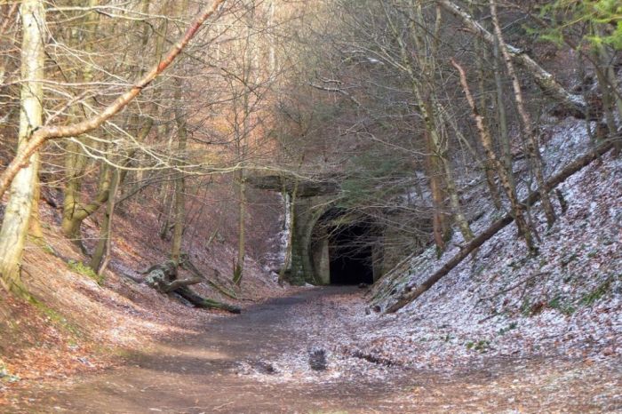 South Park Wood - the western portal of the Neidpath Tunnel