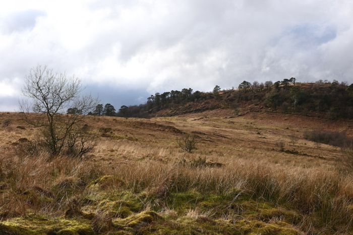 Open moorland, CSC Heat