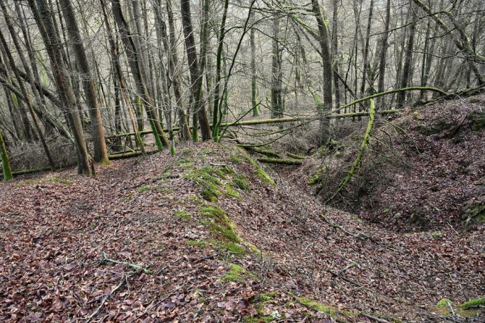 Deep gullies in woodland above control 195, CSC Heat