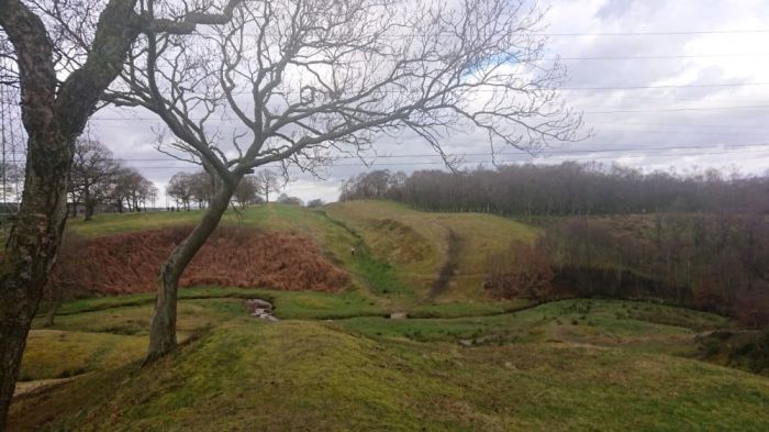View W from Rough Castle