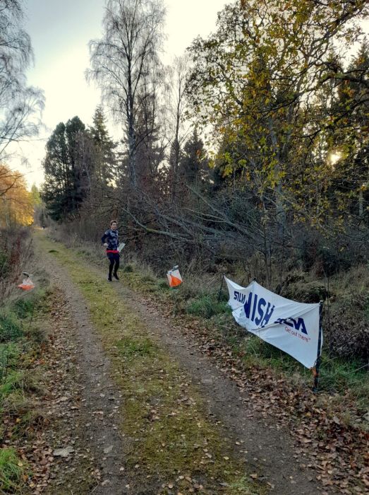 Finish, Saltoun Wood