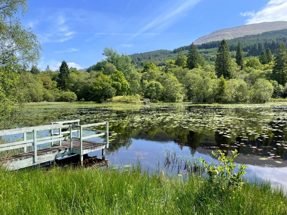 Scottish Relays - fishing pond