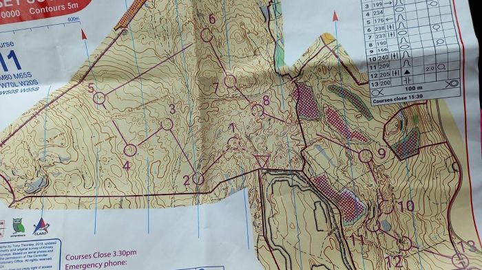 Map of W55S course at the Northern Champs 24, described by Judy as enjoyable and challenging