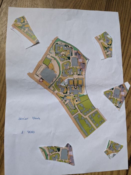 Orienteering map and map snippets