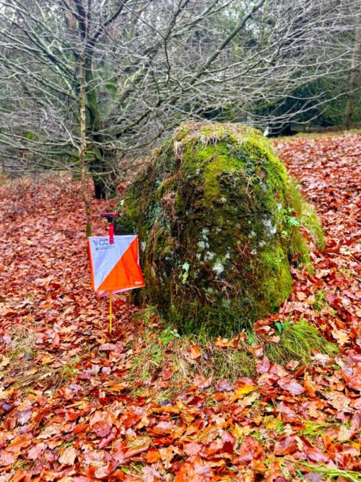 Control #183 (Green, Blue and Brown courses)