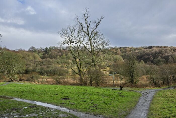 Looking up Croy Hill
