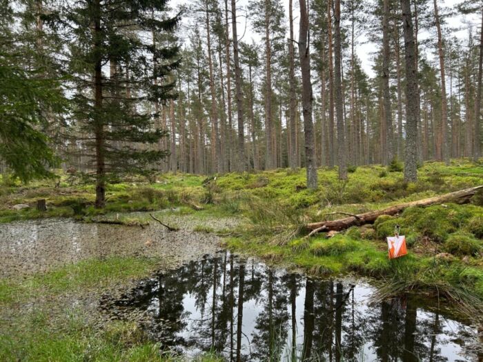 Wet pit or pond?; Through or around?
