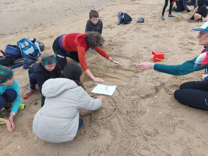 more contour exercises in the sand
