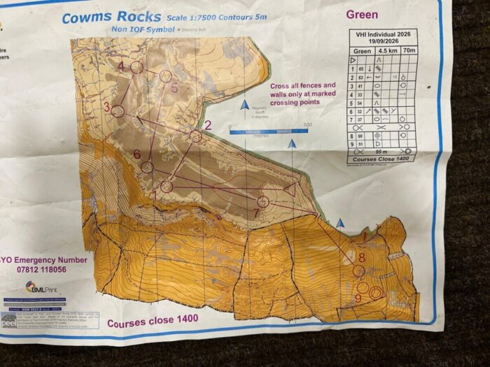 Alison VHI map